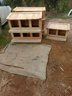 Chicken nestin for sale