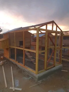 Chicken nestin for sale