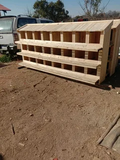 Chicken nestin for sale