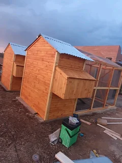 Chicken nestin for sale