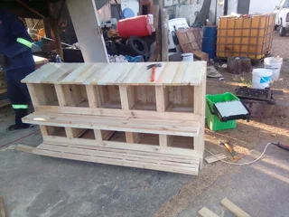 Chicken nerst for sale