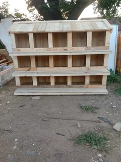 Chicken nerst for sale