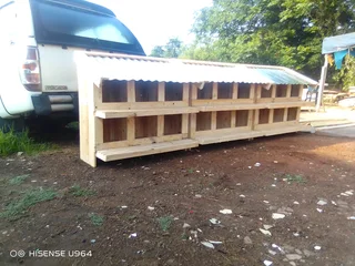 Chicken nestin boxes for sale