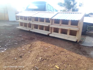 Chicken nestin boxes for sale