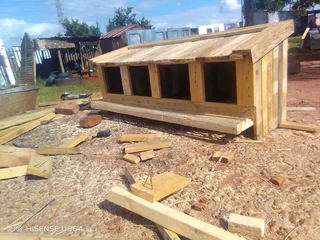 Chicken nesting  boxes for sale