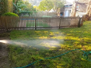 We Supply Kikuyu Grass Buffalo Grass Lm Berea Grass And Cynodon Grass