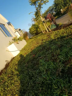 WE SUPPLY KIKUYU GRASS BUFFALO GRASS LM BEREA GRASS AND CYNODON GRASS