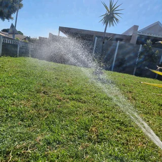 We supply kikuyu grass buffalo grass Lm berea grass and cynodon grass