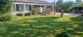 We supply kikuyu grass buffalo grass Lm berea grass and cynodon grass