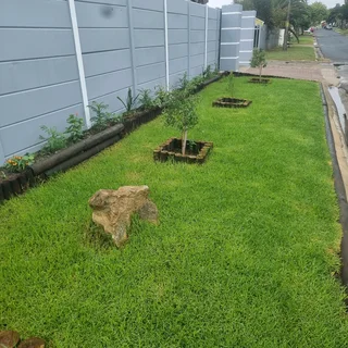 We supply kikuyu grass buffalo grass Lm berea grass and cynodon grass