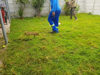 WE SUPPLY KIKUYU GRASS BUFFALO GRASS LM BEREA GRASS AND CYNODON GRASS