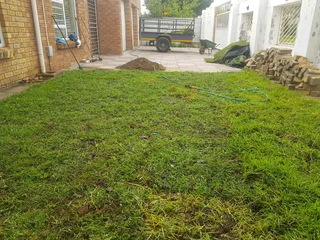 WE SUPPLY KIKUYU GRASS BUFFALO GRASS LM BEREA GRASS AND CYNODON GRASS