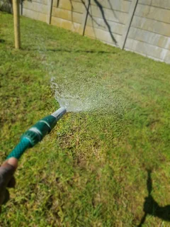 WE SUPPLY KIKUYU GRASS BUFFALO GRASS LM BEREA GRASS AND CYNODON GRASS