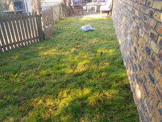 WE SUPPLY KIKUYU GRASS BUFFALO GRASS LM BEREA GRASS AND CYNODON GRASS