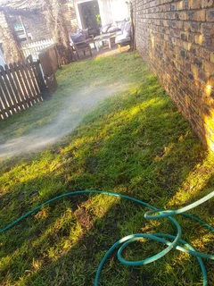 WE SUPPLY KIKUYU GRASS BUFFALO GRASS LM BEREA GRASS AND CYNODON GRASS