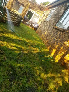 WE SUPPLY KIKUYU GRASS BUFFALO GRASS LM BEREA GRASS AND CYNODON GRASS