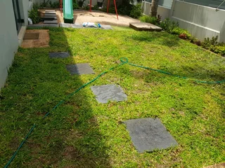 WE SUPPLY KIKUYU GRASS BUFFALO GRASS LM BEREA GRASS AND CYNODON GRASS