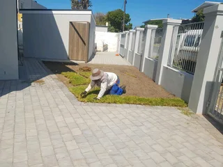 WE SUPPLY KIKUYU GRASS BUFFALO GRASS LM BEREA GRASS AND CYNODON GRASS