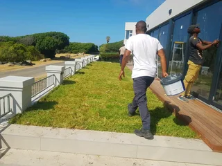 WE SUPPLY KIKUYU GRASS BUFFALO GRASS LM BEREA GRASS AND CYNODON GRASS