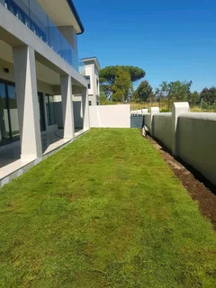 WE SUPPLY KIKUYU GRASS BUFFALO GRASS LM BEREA GRASS AND CYNODON GRASS