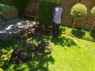 WE SUPPLY KIKUYU GRASS BUFFALO GRASS LM BEREA GRASS AND CYNODON GRASS