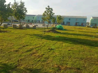 We supply kikuyu grass buffalo grass Lm berea grass and cynodon grass