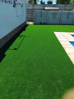Artificial and roll grass