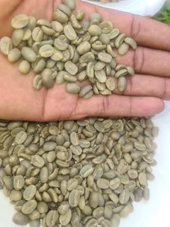Ugandan Robusta And Arabica Coffe Beans For Sale +27719755564