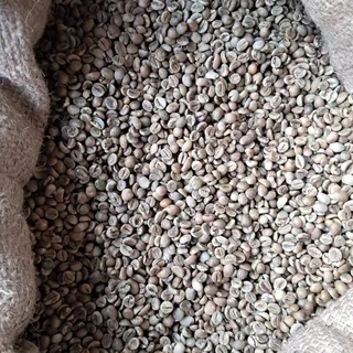 UGANDAN ROBUSTA AND ARABICA COFFE BEANS FOR SALE &#43;27719755564
