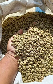Ugandan Robusta And Arabica Coffe Beans For Sale &#43;27719755564