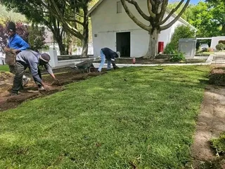 Fresh Quality fresh grasses