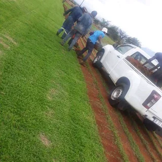 Top quality instant lawns we deliver and installation.