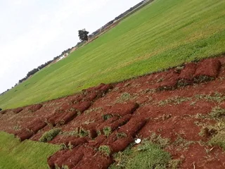 Instant Lawn Kikuyu, Lm Grass, Evergreen, Compost, Topsoil We Delivere & Install