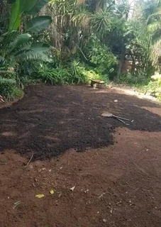 INSTANT LAWN KIKUYU, LM GRASS, EVERGREEN, COMPOST, TOPSOIL WE DELIVERE &amp; INSTALL