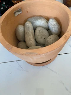 Ceramic pot plant