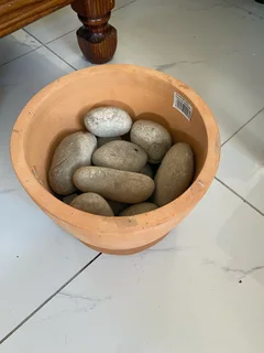 Ceramic pot plant