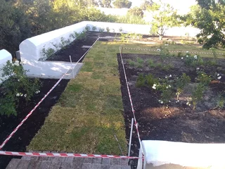 I Am Sayiless Lunad 0769537759 Whatsapp And Call Malawi Man I Am Looking For Job As Garden Byo I Ha