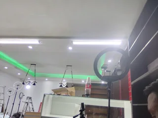 PRIVATE  ELECTRICIAN.) STEVEN