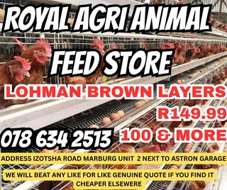 Royal Agri Animal Feed Store