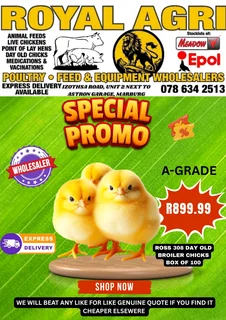 Royal Agri Animal Feed Store