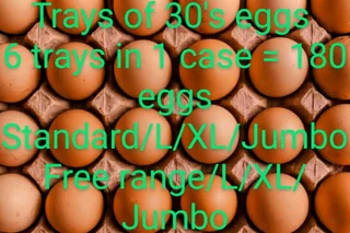 Eggs for sale - the best eggs in town!