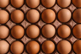 Selenium enriched eggs with orange yolk for sale