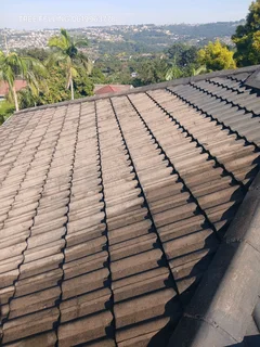 Roof painting and repairs.