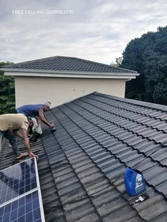 Roof painting and repairs.