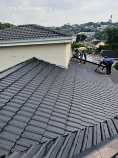 Roof painting and repairs.
