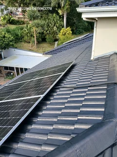 Roof painting and repairs.