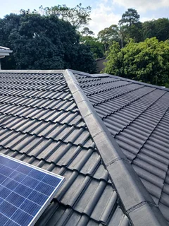 Roof painting and repairs.