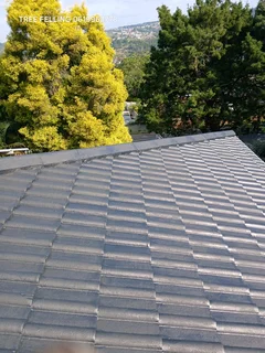 Roof painting and repairs.