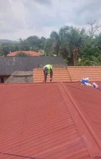 Roof painting and repairs.