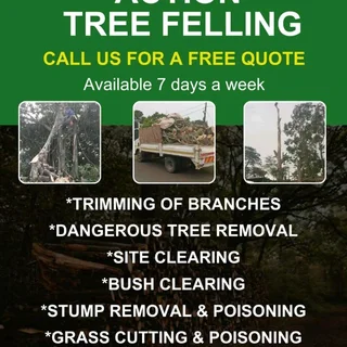 Action Tree Felling Services